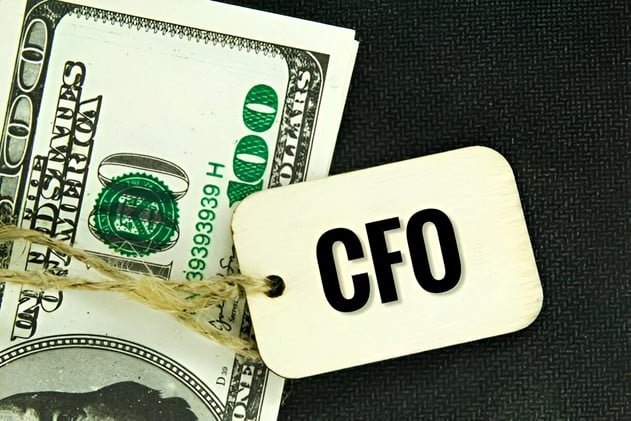 Virtual CFO Help to Save Businesses Time and Money